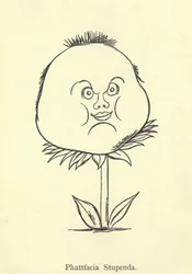 Phattfacia Stupenda